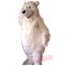Polar Mascot Costume Adult Animal Costume