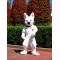 Dog Fursuit Mascot Costume for Adult