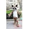 Raccoon Fursuit Mascot Costume for Adult
