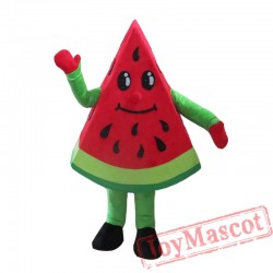 Fruit Watermelon Mascot Costume for Adult