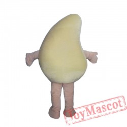 Fruit Mango Mascot Costume for Adult