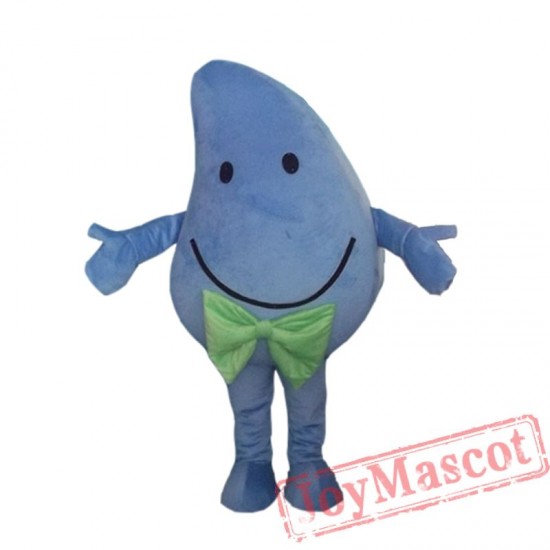 Fruit Mango Mascot Costume for Adult