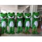 Frog Mascot Costume for Adult
