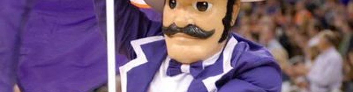 Ace Purple Mascot Costumes (University of Evansville)