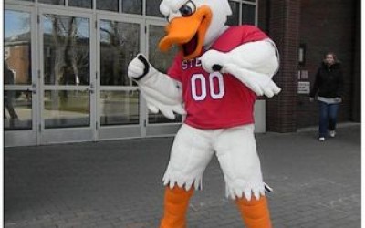 Attila the Duck Mascot Costumes (Stevens Institute of Technology)