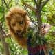 Animal lion Fursuit Head Mascot Head