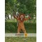 Lion Animal Realistic Fursuit Animal Mascot Costumes