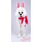 Easter Rabbit Mascot Costume