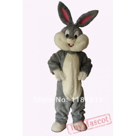 Easter Bunny / Rabbit Mascot Costume