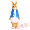 Easter Peter Rabbit Bunny Mascot Costume