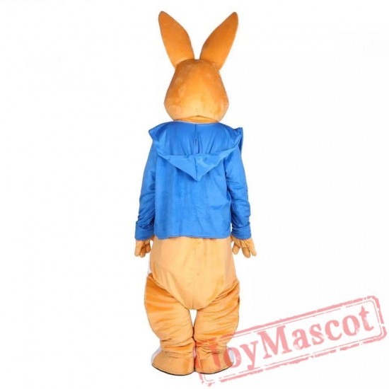 Easter Peter Rabbit Bunny Mascot Costume