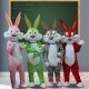 Bunny / Rabbit Easter Mascot Costumes for Adult
