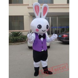 Cartoon Plush Rabbit Mascot Costume