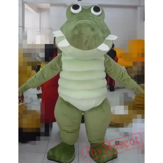 Animal Cartoon Croco Mascot Costume