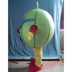 Cartoon Plant Fruit Watermelon Mascot Costume