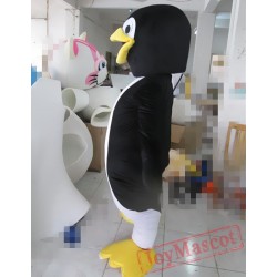 Cosplay Cartoon Marine Penguin Mascot Costume