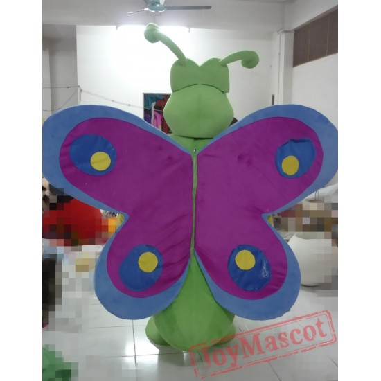 Cartoon Cosplay Butterfly Mascot Costume