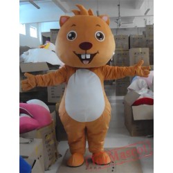 Cartoon Cosplay Field Mouse Mascot Costume