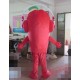 Red Chilli Mascot Costume For Adullt & Kids