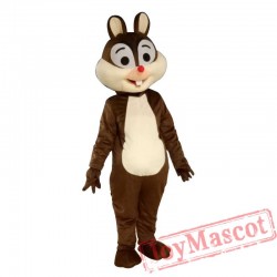 squirrel Mascot Costume