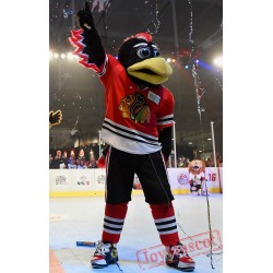 Chicago Blackhawks Mascot Tommy Hawk
