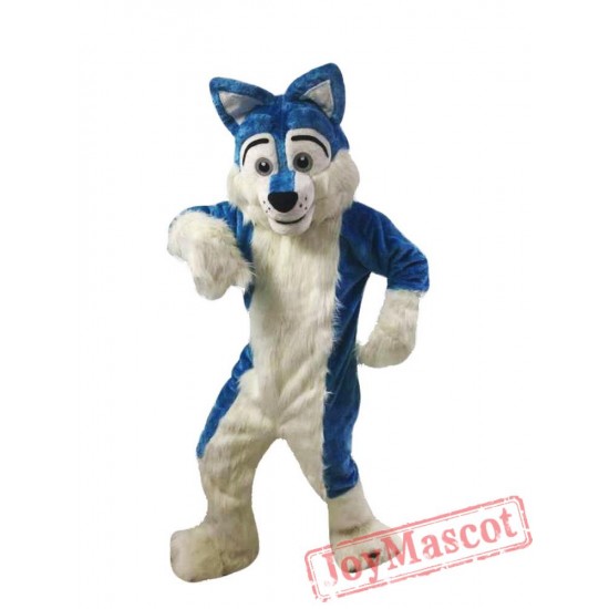 Blue Wolf Mascot Costumes