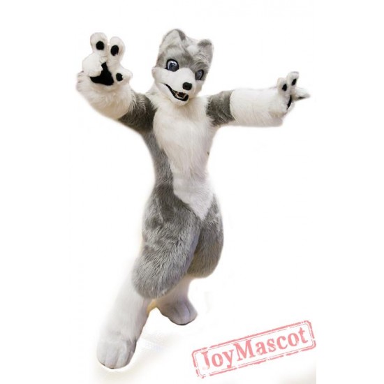 White Grey Wolf Mascot Costume