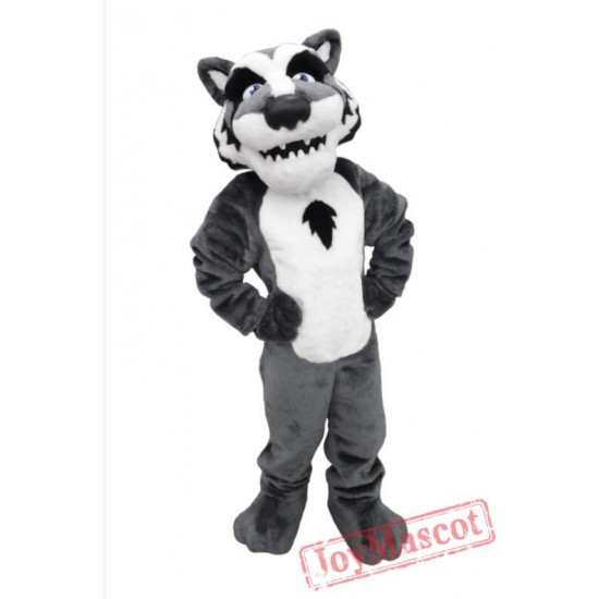 Reyburn Timberwolf Mascot Costume