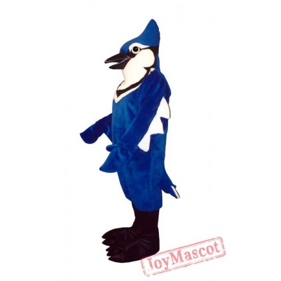 Jennie Blue Jay Mascot Costume