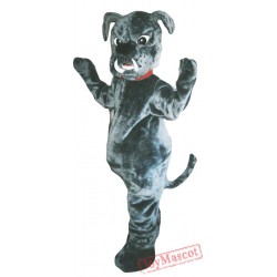 Bull Dog Mascot Costume Adult Costume