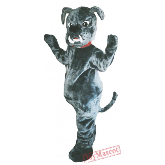 Bull Dog Mascot Costume Adult Costume