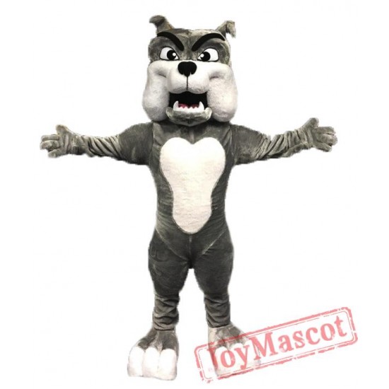 Professional Quality Bulldog Mascot Costume