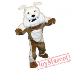 Greenstone Bulldog Mascot Costume