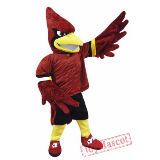 College Cardinal Mascot Costume