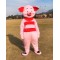 Adult Pig Cartoon Cosplay Costumes Anime Mascot Costumes