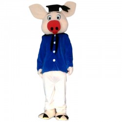 Pig Doctor Mascot Costume