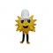 Sun Mascot Costume