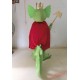 King Dragon Mascot Costume Adult Dragon Costume