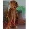Big Mouth Brown Puppy Dog Mascot Costume For Adult
