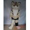 Smart Cat Mascot Costume Adult Cat Costume