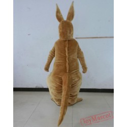 Kangaroo Mascote Kangaroo Mascot Costume Adult