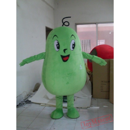 Green Melon Mascot Costume For Adults
