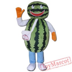 Watermelon Mascot Costume Adult Watermelon Costume