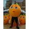 Fancy Fruit Mascot Costume Adult Orange Mascot Costume