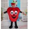 Adult Fruit Mascot Costumes Red Apple Fancy Costume