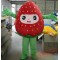 Red Strawberry Mascot Costume For Adults Strawberry Mascot
