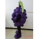 Purple Grape Mascot Costume Adult Grape Costume