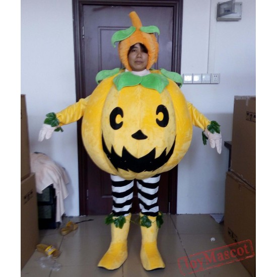 Halloween Costumes For Women Pumpkin Mascot