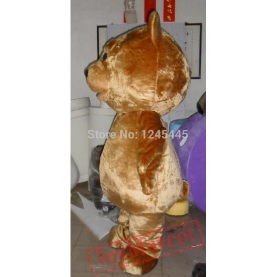 Big Head Fat Teddy Bear Mascot Costume For Adult