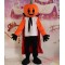 Halloween Costume For Adult Mascot Costumes